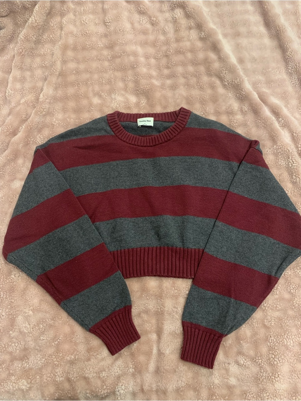 Aritzia Striped Crop Crewneck Sweater in Burgundy and Gray